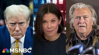 'How did this happen?': Alex Wagner examines the MAGA themes that drew voters to Trump