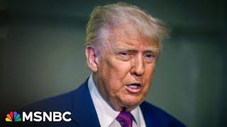 ‘Striking’ the lengths to which Trump admin. is trying to squash leaks: Journalist 