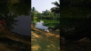 #viralvideo #viralshorts #trending #nature #2025 #views #video