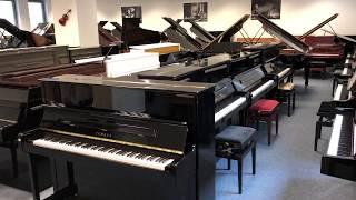 Musikhaus – Pianelli Music-Store  Klavier- & Flügel-Abteilung 2  Yamaha, Kawai, Steinway, Pianelli