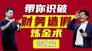 【读懂财报系列 |  营收篇】上市公司财报怎么看？10分钟！带你识破乐视财务造假炼金术【狮子座财经】