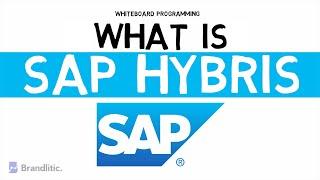 What is SAP Hybris? Benefits of SAP Hybris? Why use it? | SAP Commerce Cloud