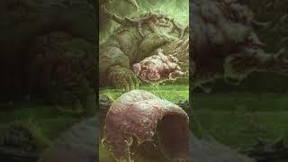 Nurgle EXPLAINED - The NICEST Guy In 40k -  LOVING GRANDFATHER OF PLAGUE - Total War Warhammer 3/40k