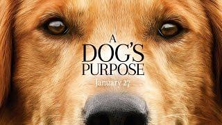 A Dog's Purpose - Official Trailer (HD)