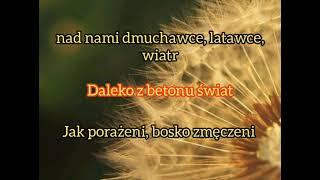 Urszula - Dmuchawce, latawce, wiatr (tekst)