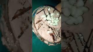 l cocholate cake #shots #subscribe #shortvideo #chocolate #cocholate