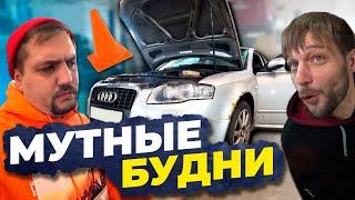 Спасли Ауди, ТО для для Хонды Радика