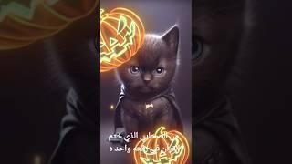 اجمل القطط الذكاء الاصطناعي في العالم