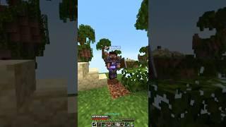 Minecraft sky wars