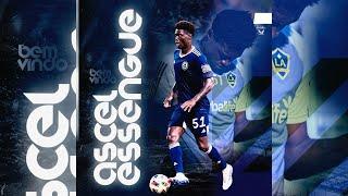 Ascel Essengue Highlights