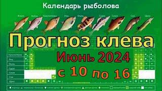 Прогноз клева рыбы на Эту неделю с 10 по 16 Июня 2024 Календарь рыбака на Июнь Лунный календарь