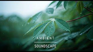 Romantic Piano for Relaxing & Stress Relief | Drizzling and Nature Rain