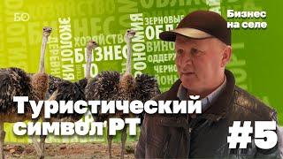 Страус как новый туристический символ Татарстана | Бизнес на селе #5