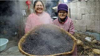 From ‘Moldy’ to Mouth-Watering: The 30-Day Transformation of Chinese Fermented Beans