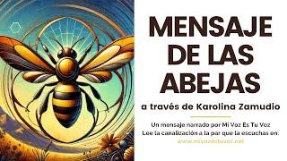 UN MENSAJE DE LAS ABEJAS canalizado por Karolina Zamudio