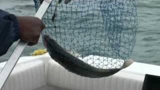 Fishing6 video 062009