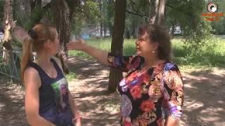 Падал прошлогодний снег... Почему в Балакове до сих пор не убрали сухие деревья и ветки?