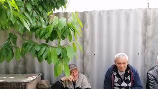 Мелитопольские голуби. Пытаюсь стать оператором...