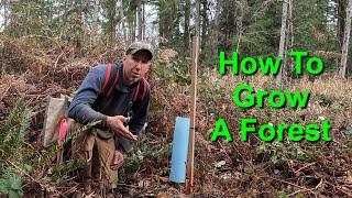 How To Grow A Forest