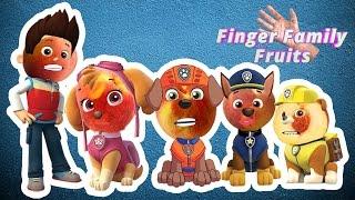 Paw Patrol Wrong Heads | Paw Patrol Finger Family Song for Kids