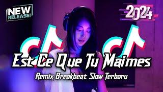 DJ Est Ce Que Tu Maimes Breakbeat Slow Remix Tiktok Fyp Viral Version 2024