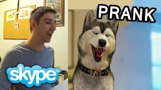 Skype Prank "I'm a Wolf!" [FaceRig]