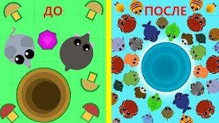 MOPE.IO ВЕСЕЛАЯ СХОДКА ТОП ВЕЧЕРИНКА ИГРА MOPE IO