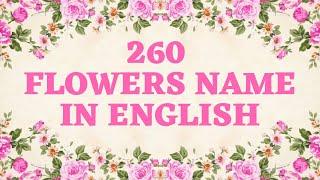 260 FLOWERS NAME IN ENGLISH #flowersname #flowersnameinenglish