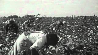 The Plantation System in Southern Life (1950)