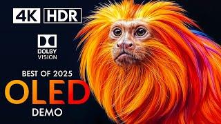 4K HDR 120FPS Best of 2025 Dolby Vision - 4K Video ULTRA HD