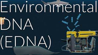 Environmental DNA | Nautilus Live