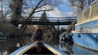 Caturday Kayaking with Louis  