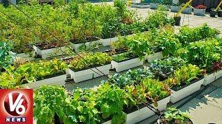 Special Report On Kitchen And Roof Top And Kitchen Gardening In Hyderabad | V6 News