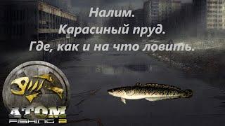 Atom Fishing II - Налим. Карасиный пруд. Где, как и на что ловить.