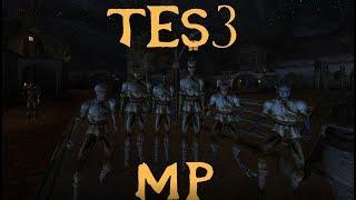 When the Gang Wants to Play TES3MP Again