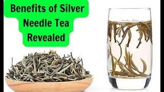 What is Silver Needle Tea? History, Process & Benefits