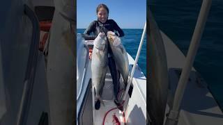 Full video will be up on Friday #spearfish #fishinggirl #fishingvideo #amberjack #spearfishing #fish