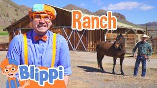 Learning Farm Vehicles and Animals With Blippi | Educational Videos For Kids