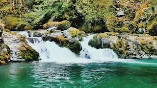 Peaceful Waterfall Sounds | Music For Relieve Stress | Relaxing Music | Nature Relaxation 235