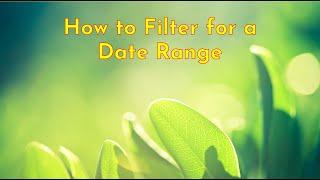 How to Filter for a Date Range in MS Project