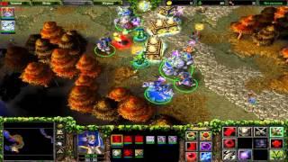 WarCraft 3 TFT Кампания Ночных эльфов, глава 6 - Осколки Альянса