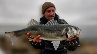 LURE FISHING FOR BASS IN WINTER | BACK ON THE BASS