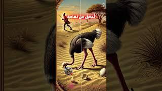 قصة مثل أَحْمَقُ مِنْ نَعَامَة #قصص_عبر #تاريخ #طرائف #قصة_مثل#امثال_وحكم #اقتباسات #أمثال_العرب