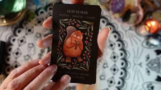 WILD WHISKERS SPIRIT ANIMAL ORACLE  By AWARD-WINNING ARTIST FAINA LORAH - Deck Review