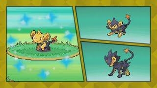 [Live] - Shiny Shinx after 1,259 random encounters in Platinum! (DTQ #2)