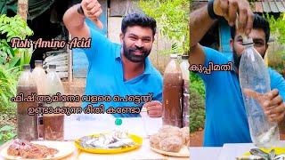 ദാ കുപ്പി മതി ഫിഷ് അമിനോ ആസിഡ് റെഡി Fish Amino Acid / Homemade Fish Fertillizer / Malayalam Krishi