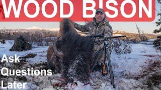 Ask Questions Later A Bison Hunt Part 1 of 2 I Greg McHale's Wild Yukon