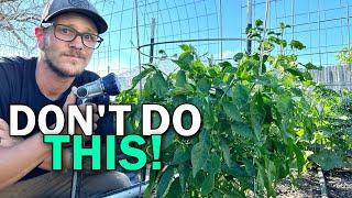 5 Garden Watering Mistakes You Want To AVOID!