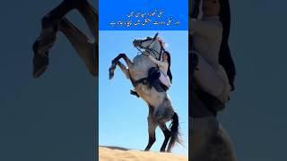 When power meets  grace #power #animals #horse #wildlife #love #trending #girls #shorts #duet