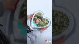 MAMINUR ISLAM